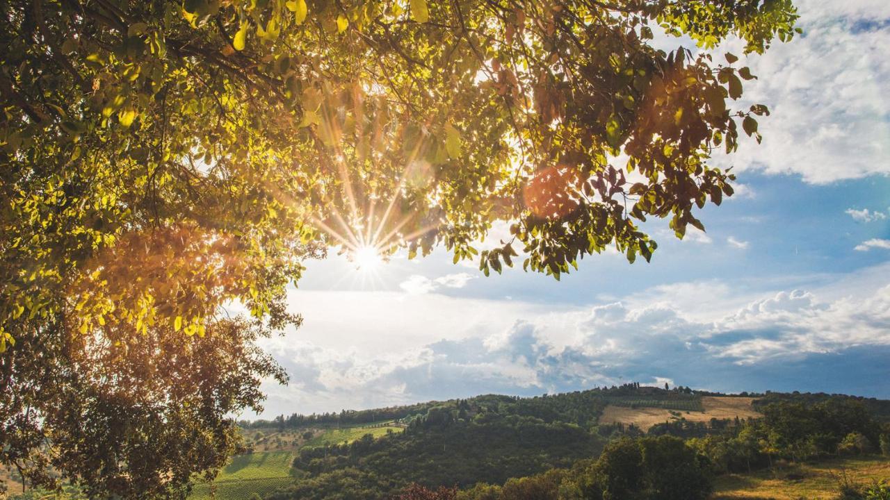 Villa De' Ricci Rignana B&B Greve in Chianti Exteriör bild
